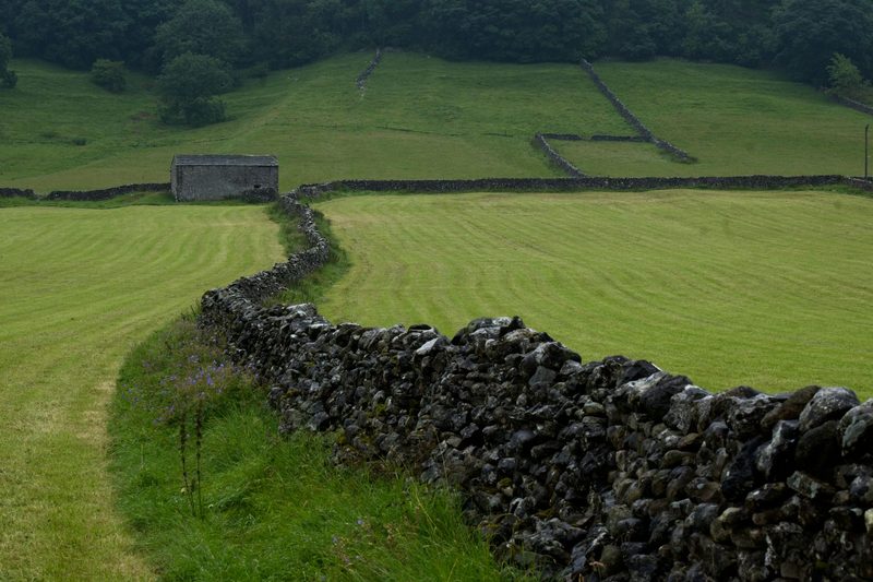 Dry-stone walls and a field barn in the Yorkshire Dales